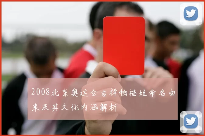2008北京奥运会吉祥物福娃命名由来及其文化内涵解析