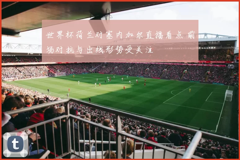 世界杯荷兰对塞内加尔直播看点 前场对抗与出线形势受关注
